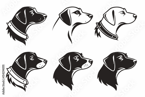 set of puppies