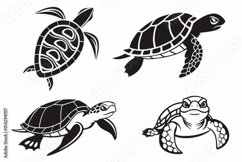 turtle