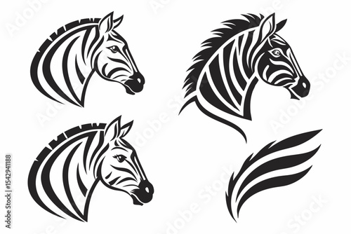 black and white horse