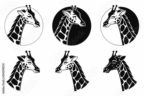 black silhouettes of animals