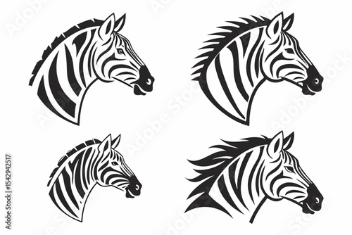 zebra vector illustration