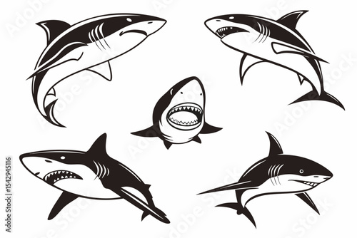 set of sharks