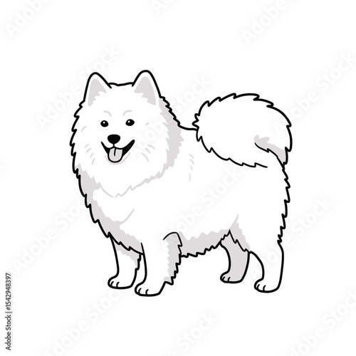 Simple and cute Japanese Spitz dog illustrations 