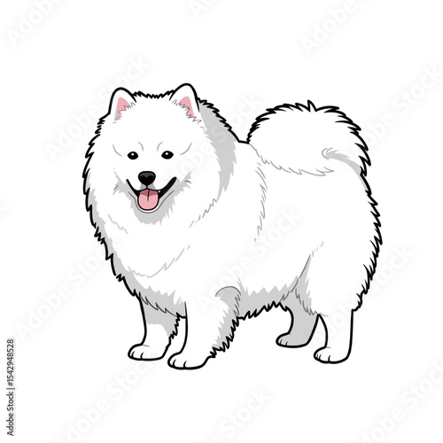Simple and cute Japanese Spitz dog illustrations 