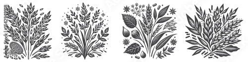Vintage Hand-Drawn Arabic Plant Collection Illustration, Middle Eastern Botanical Engraved Style Vector for T-Shirts and Nature Themes Design