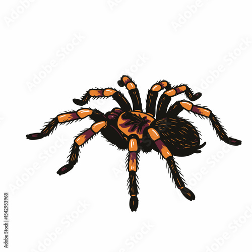 Black tarantula on white background multiple poses rendering



