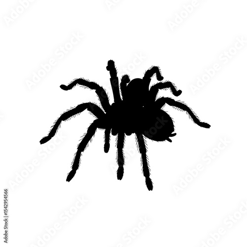Black tarantula on white background multiple poses rendering


