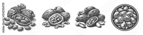 Vintage Hand-Drawn Arabic Nuts Illustration, Middle Eastern Food Engraved Style Vector for T-Shirts and Culinary Market Themes Design
