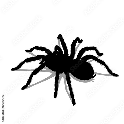 Black tarantula on white background multiple poses rendering


