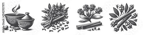 Vintage Hand-Drawn Clove Collection Illustration, Culinary Spice Engraved Style Vector for T-Shirts and Herbal Medicine Themes Design