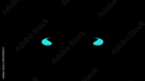 Circle Burst fireworks animation featuring festive ripple colorful Line and colorful shine bursts. Black screen. infographic, expression, title, twinkle, video, fireworks, motion, abstract, geometry.