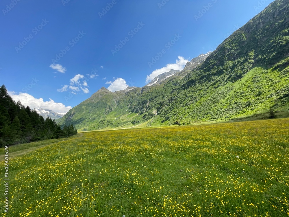 Naklejka premium Wanderung Osttirol Schlatenkees 