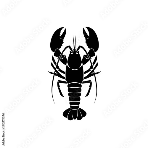 Lobster, Omar, cancer seafood nature ocean aquatic underwater vector. Hand drawn marine engraving illustration on white background. Sea animal