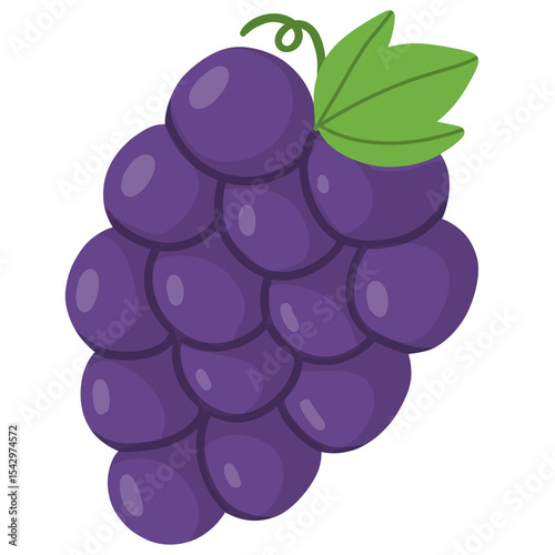 Purple grape cartoon illustration 