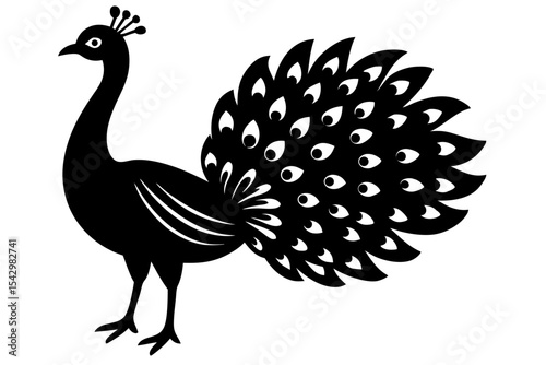 vector illustration of peacock