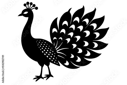 peacock vector illustration