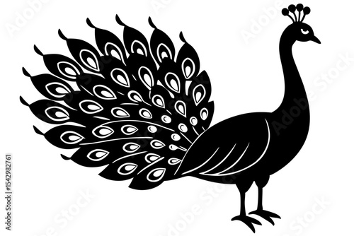 peacock vector illustration