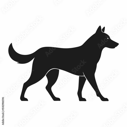 Walking Belgian Malinois Silhouette Vector

