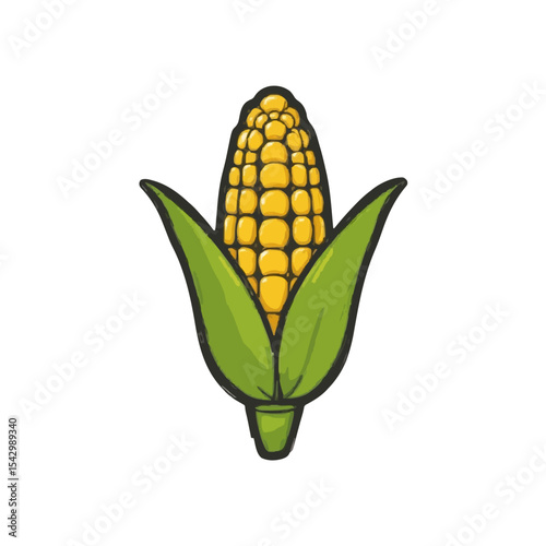 corn on a white background