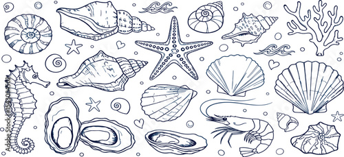 Sea shell collection, vector watercolor hand drawn ocean conch set, nature exotic mollusc, starfish. Mediterranean blue ink nautical retro illustration, summer travel marine kit. Underwater sea shell