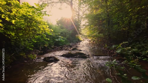 Aerial view of a tranquil forest stream with crystal-clear water flowing over smooth rocks, embraced by dense green trees and bathed in soft sunlight gently filtering through the canopy.