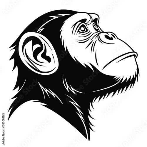 Intricate black and white illustration portrays a chimpanzee gazing upward with detailed facial features