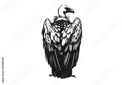 Vulture hand drawn sketch vector illustration