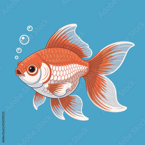 Goldfish swimming in a glass aquarium on a blue background