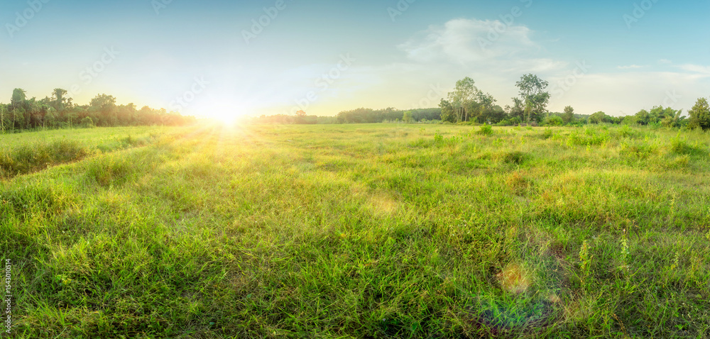 Obraz premium Empty dry cracked swamp reclamation soil, land plot for housing construction Green meadow, beautiful views and beautiful blue sky with fresh air Land for sales landscape concept.
