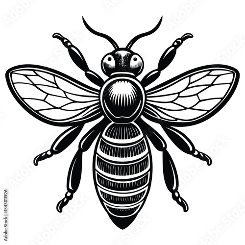 Bee icon silhouette vector flat illustration design on white background