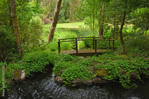 Garden pond with small bridge and trees