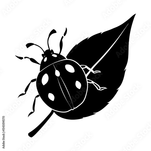 Ladybug vector drawing ladybug illustration ladybug graphic ladybug art leaf silhouette