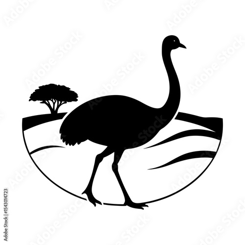 Elegant ostrich vector illustration african wildlife animal silhouette art