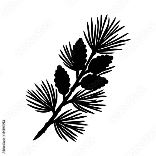 Pine tree branch with cones evergreen foliage botanical illustration art silhouette