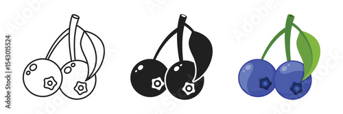 Blueberry fruit icon in flat style. Bilberry vector illustration on isolated background. Sweet berry sign business concept.
