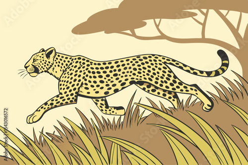 vector illustration of a leopard