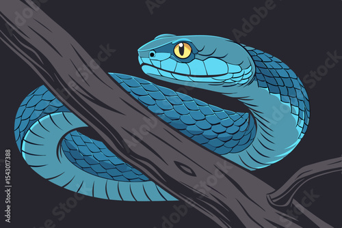 reptile photography featuring colorful python in dramatic lighting

