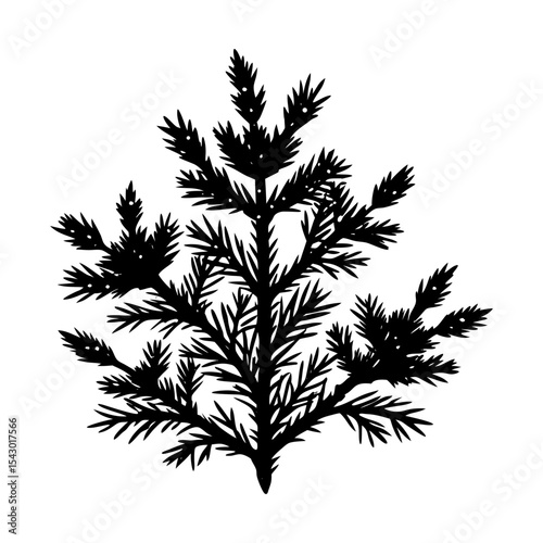 Evergreen tree silhouette vector illustration forest nature design art