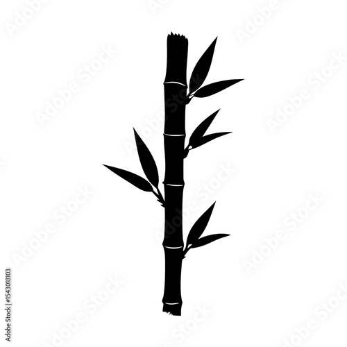 Exotic oriental plant stem with leaves vector illustration drawing art silhouette