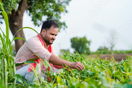 young indian farmer working in green agricultural field