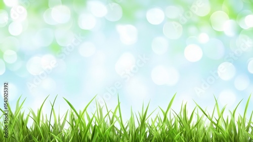 Captivating green grass against a soft blue background with light green bokeh for nature photography