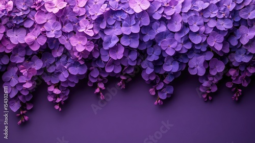 Vibrant purple hydrangea flowers cascading,  gradient color,  flat lay,  purple background