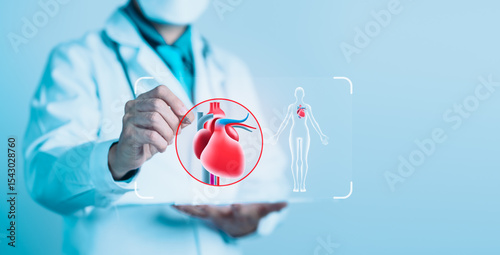 Doctor Highlighting Human Heart and Body Diagram for Cardiology and Health