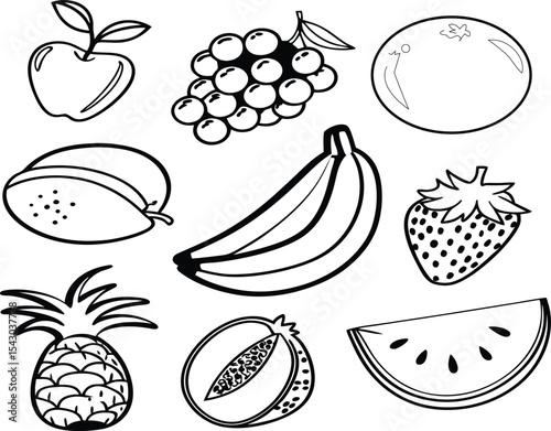 Hand drawn fruit illustrations apples  grapes plums strawberry banana piece of watermelon monochrome design 