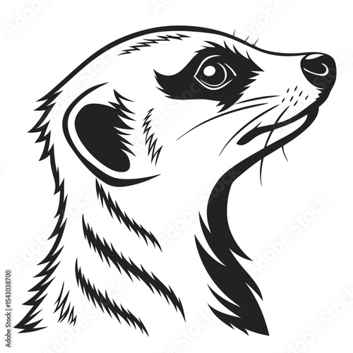 Black and white meerkat head with details looking upwards showing strong animal characteristics