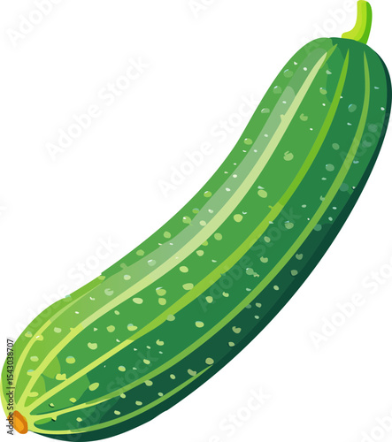 illustration of cucumber