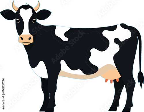 black and white cow