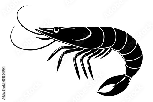 shrimp vector illustration