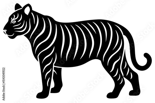 zebra vector illustration