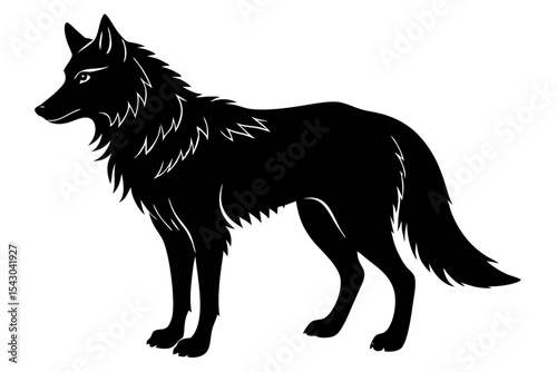 black and white wolf